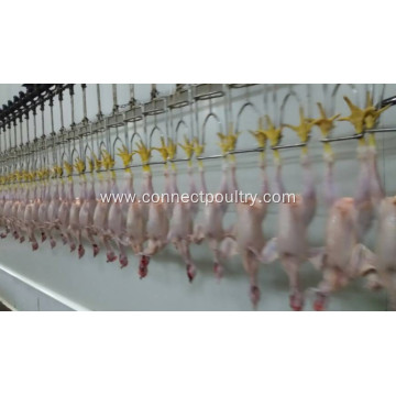 chicken overhead hanging line